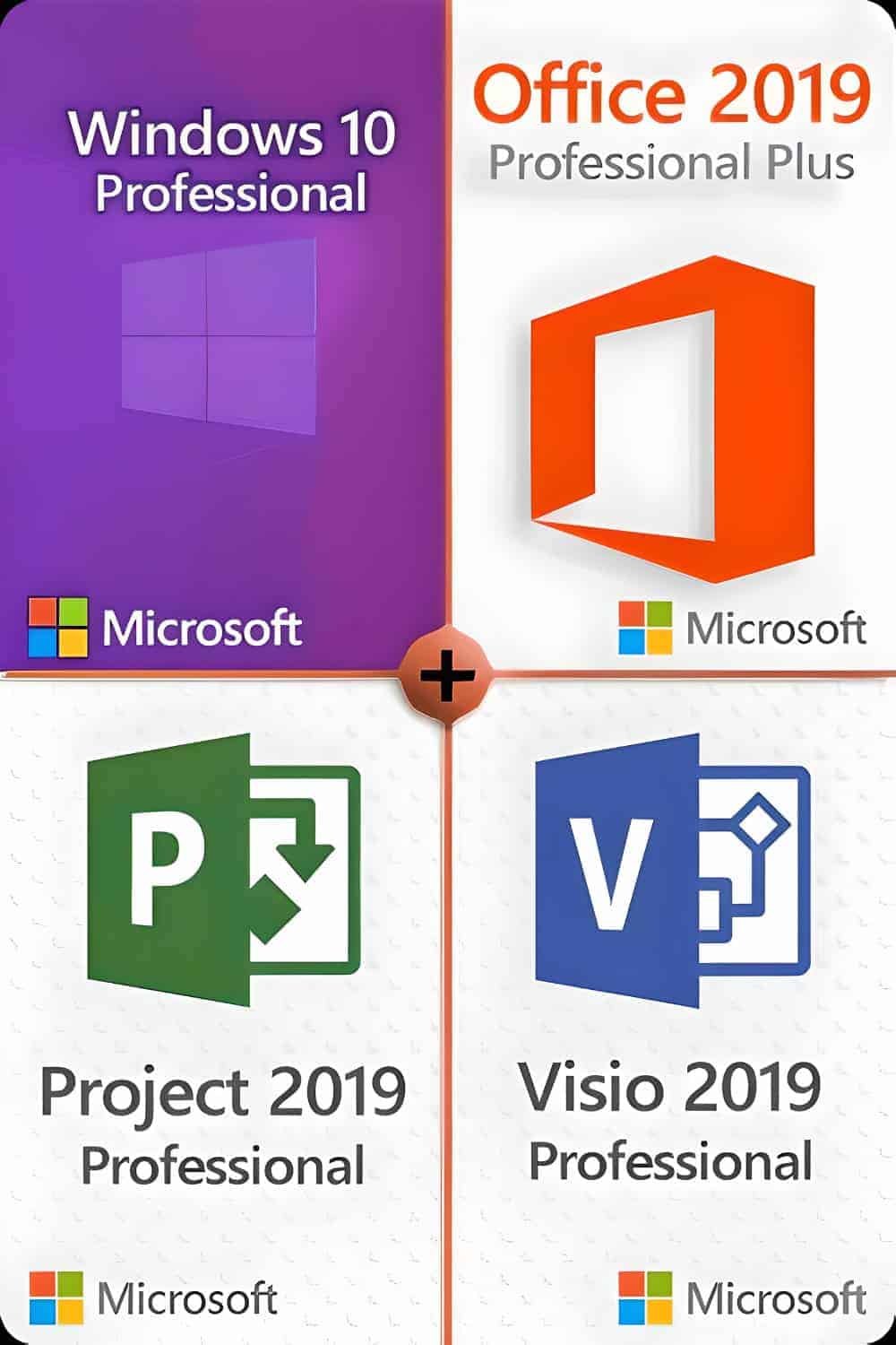 Windows 10 Professional + Visio 2019 Professional + Project 2019 Professional + Office 2019 Professional Plus Licence pour 3 appareils